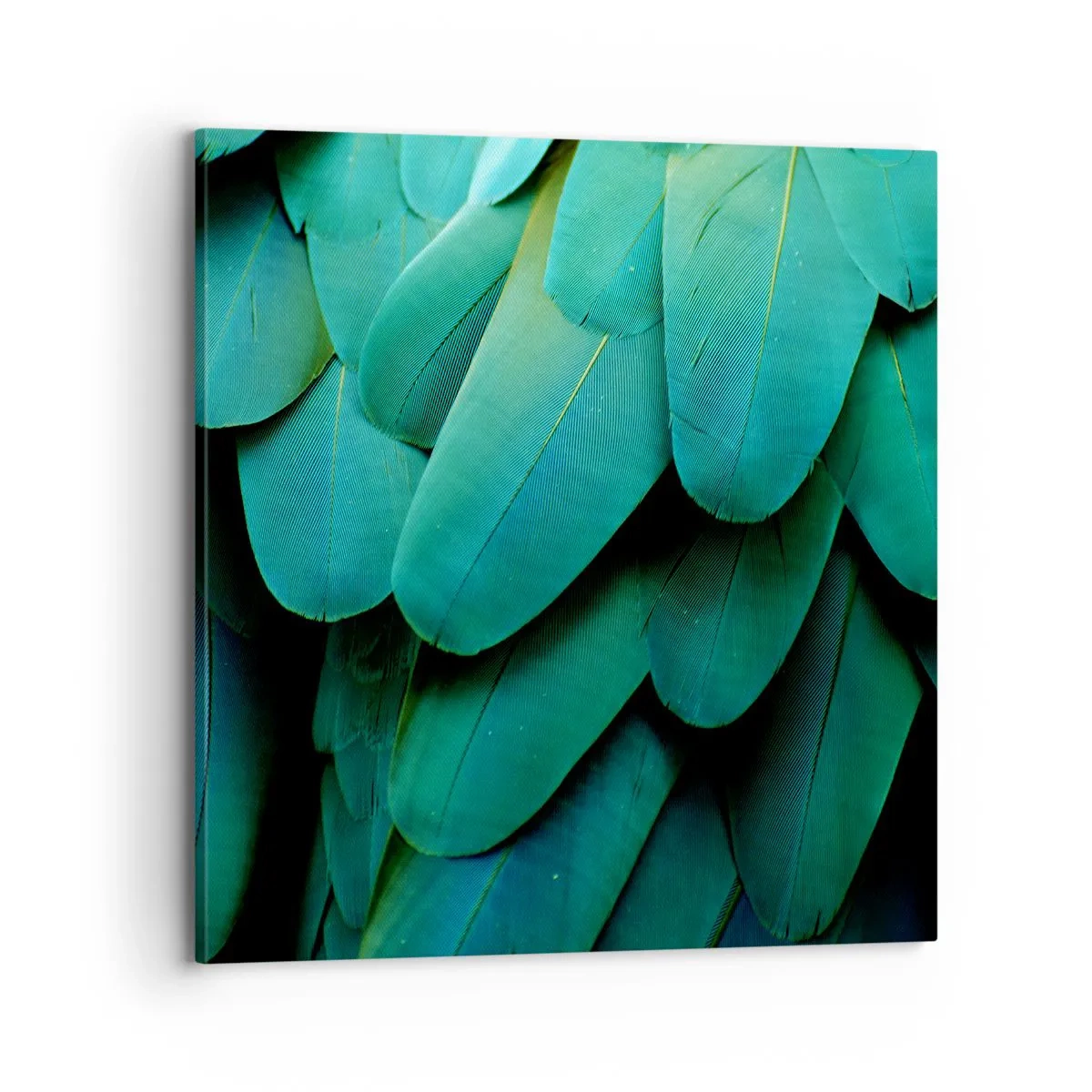 Quadro su tela - Stampe su Tela - Precisione da pappagallo - 70x70 cm