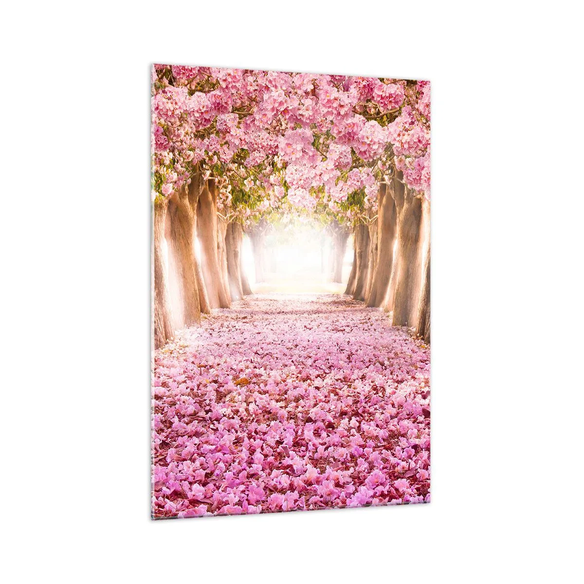 Quadro su vetro - Un viale di alberi in fiore nelle sfumature del rosa - 70x100cm - La strada verso il paradiso - Decorazione murale moderna per soggiorno e camera da letto ARTTOR