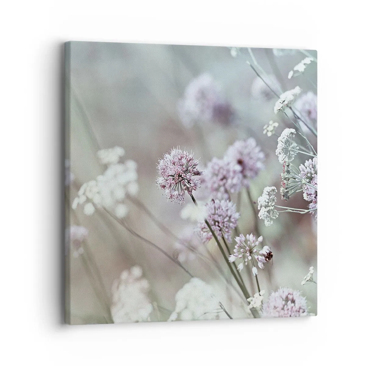 Quadro su tela - Stampe su Tela - Le dolci filigrane delle erbe - 30x30 cm