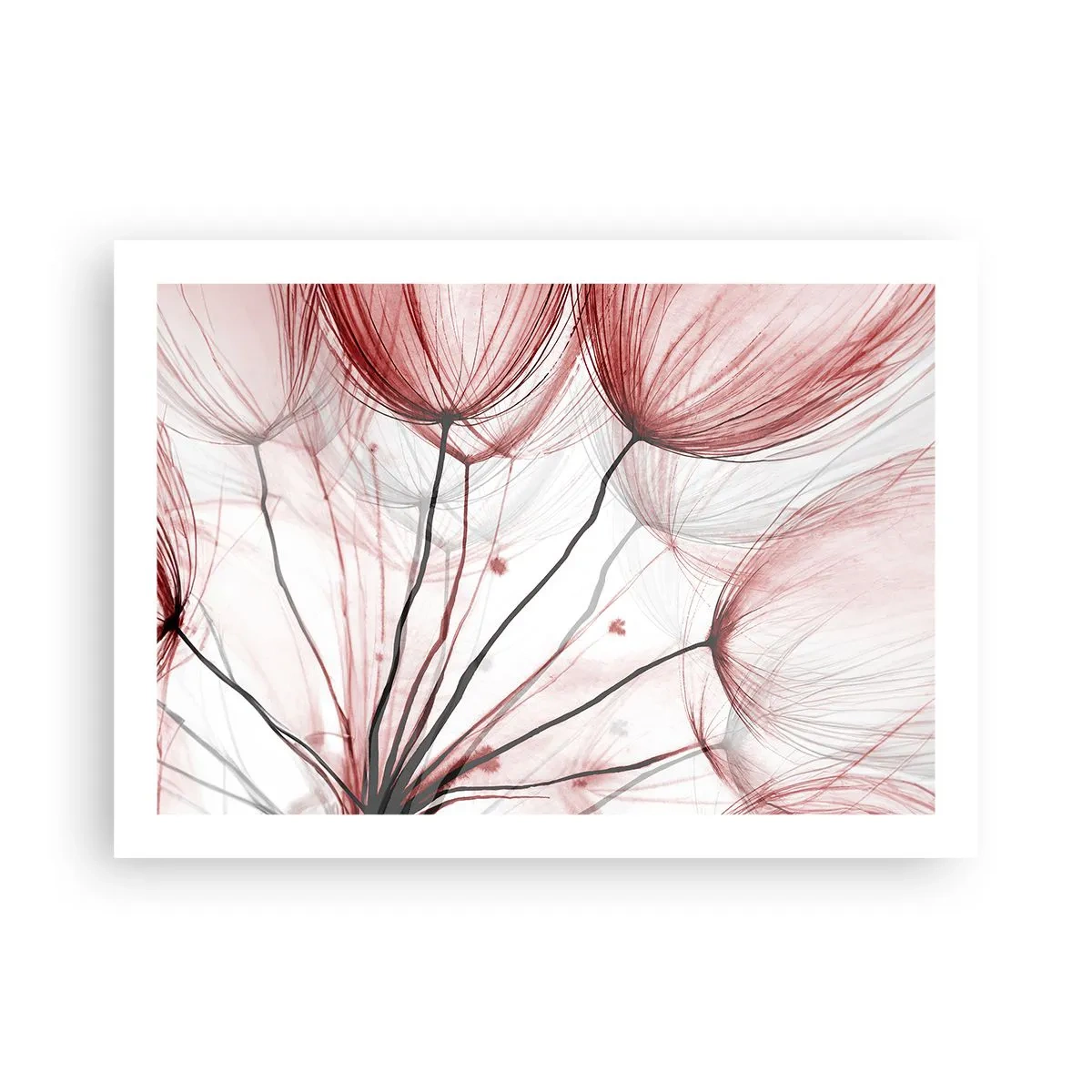 Poster - Prima del decollo - 70x50 cm