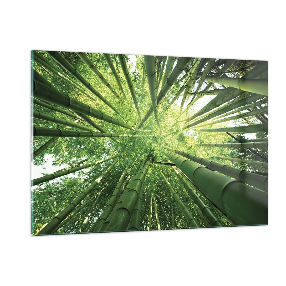 Quadro su vetro - Vista prospettica dall'alto della foresta di bambù - 120x80cm - Nella foresta di bambù - Decorazione murale moderna per soggiorno e camera da letto ARTTOR