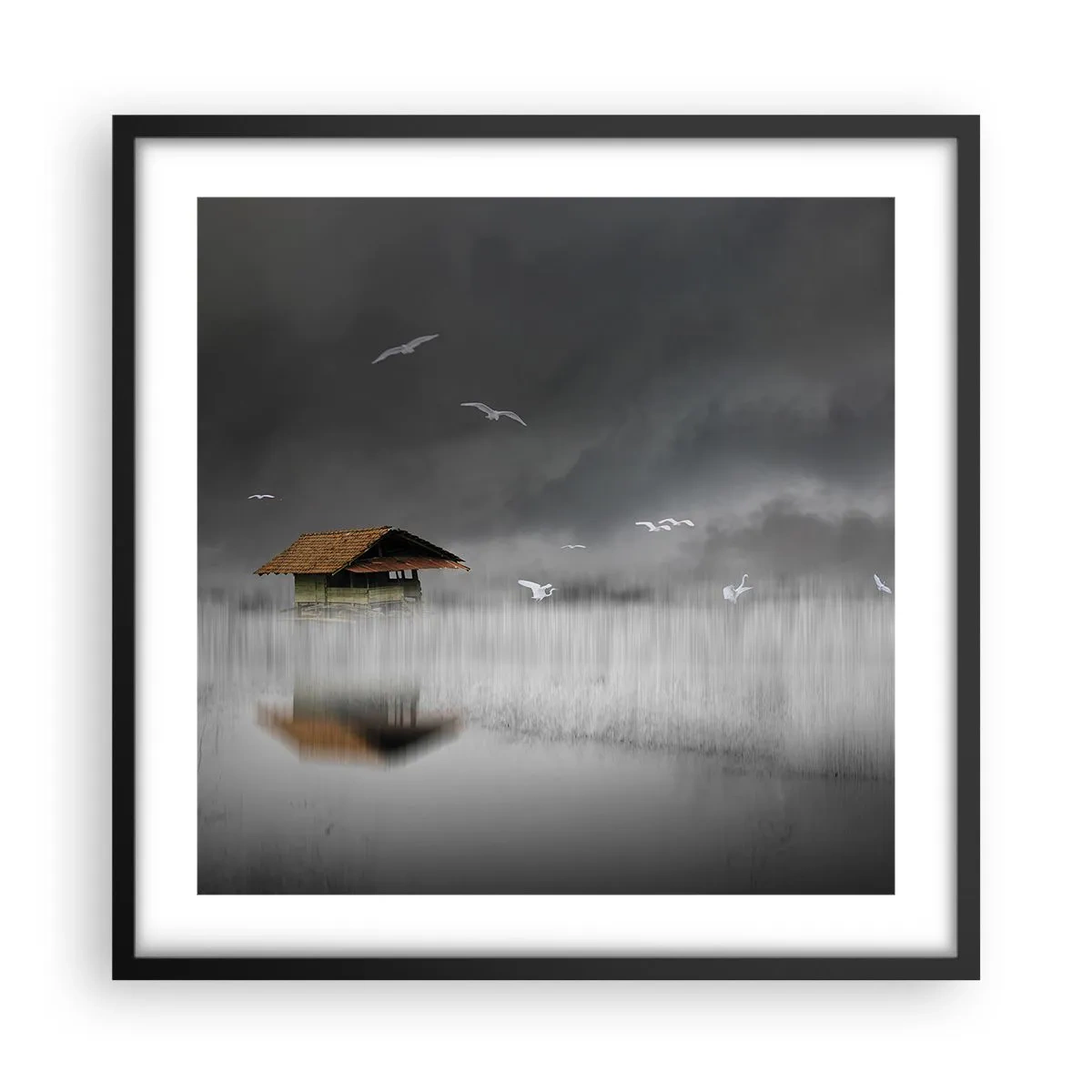 Poster in cornice nera - Riparo dalla pioggia - 50x50 cm