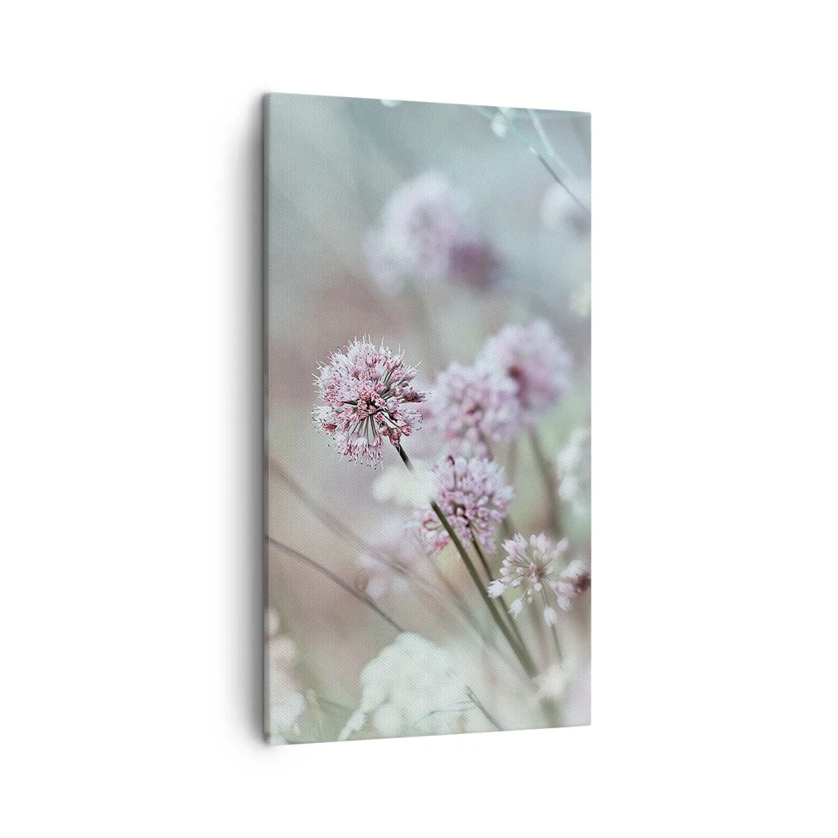 Quadro su tela - Stampe su Tela - Le dolci filigrane delle erbe - 45x80 cm