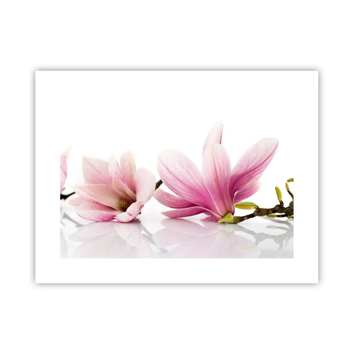 Poster - Delicati come un soffio di primavera - 40x30 cm