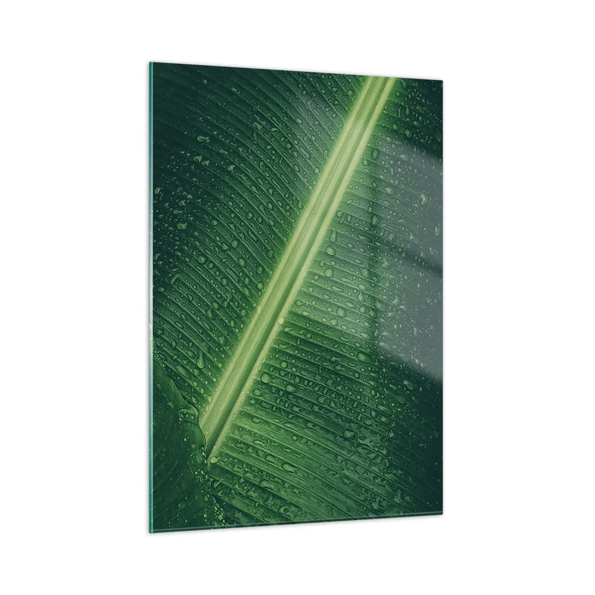 Quadro su vetro - Primo piano di una foglia verde con gocce d'acqua - 50x70cm - La struttura del verde - Decorazione murale moderna per soggiorno e camera da letto ARTTOR