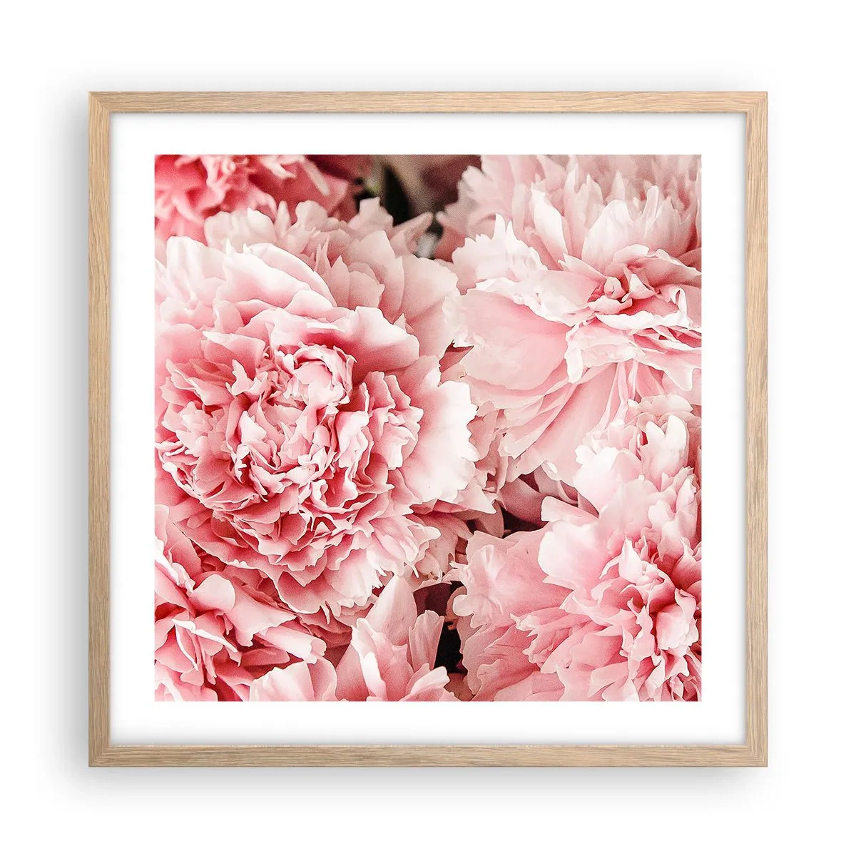 Poster in cornice rovere chiaro - Sogno rosa - 50x50 cm