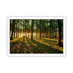 Poster - La foto di ogni primavera - 91x61 cm