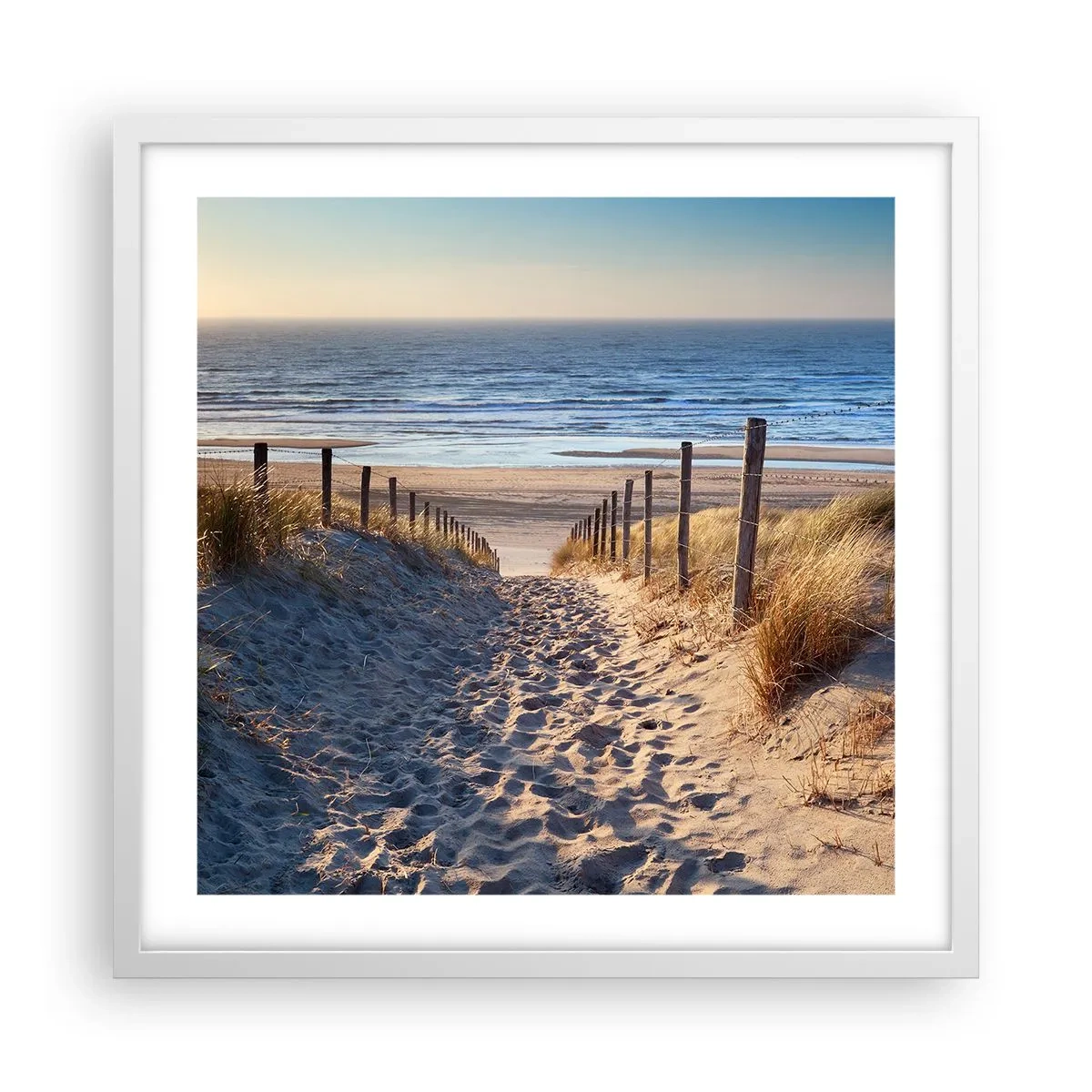 Poster in cornice bianca - Rumore del mare, uccelli che cantano, spiaggia selvatica tra i cespugli... - 50x50 cm