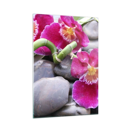 Quadro su vetro - Orchidee rosa con bambù su pietre - 50x70cm - Fresco e calore - Decorazione murale moderna per soggiorno e camera da letto ARTTOR