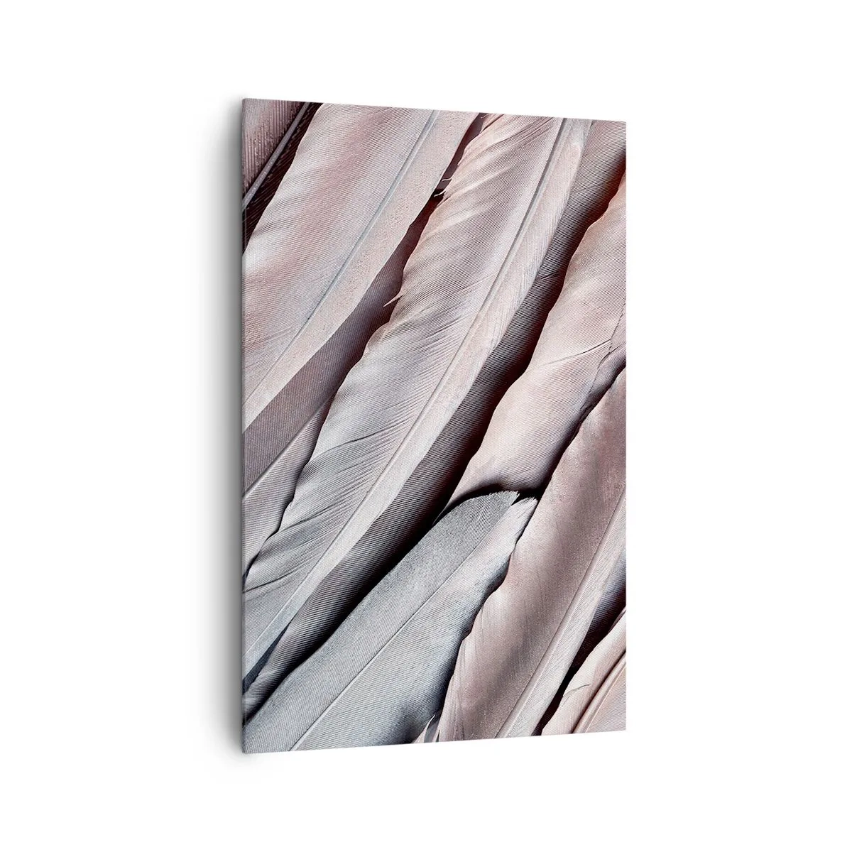 Quadro su tela - Stampe su Tela - Piume delicate in sottili tonalità di grigio e beige - 80x120cm - Argento rosato - Decorazione murale moderna per soggiorno e camera da letto ARTTOR