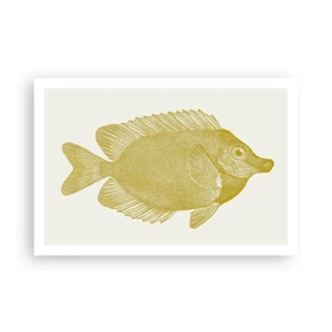 Poster - Pesce e basta - 91x61 cm
