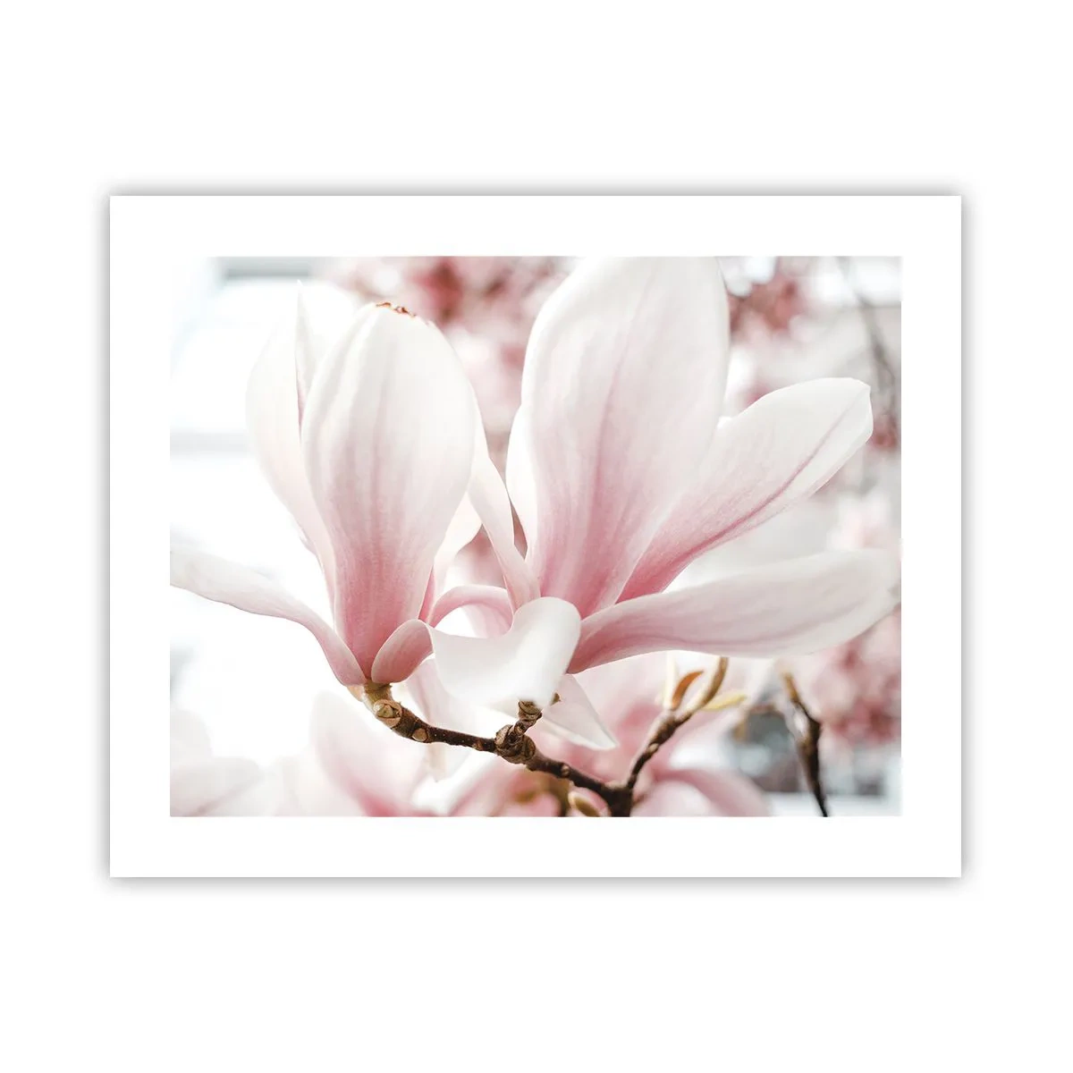 Poster - Tenerezza senza fine - 50x40 cm