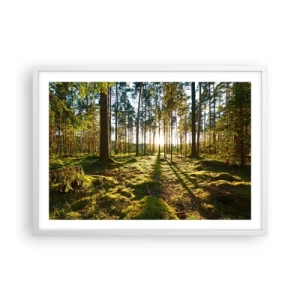 Poster in cornice bianca - …dopo sette foreste - 70x50 cm