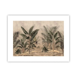 Poster - Incisione in stile coloniale - 40x30 cm