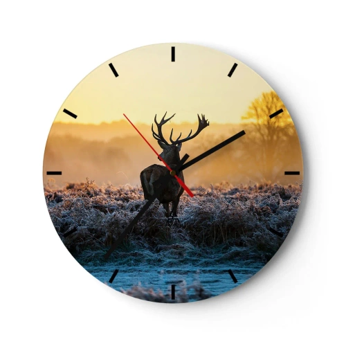 Orologio da parete - Orologio in Vetro - Un cervo in un campo in una mattina gelida con un cielo arancione - 30x30cm - Incoronato nelle sue terre - Decorazione murale moderna per soggiorno, cucina e camera da letto ARTTOR