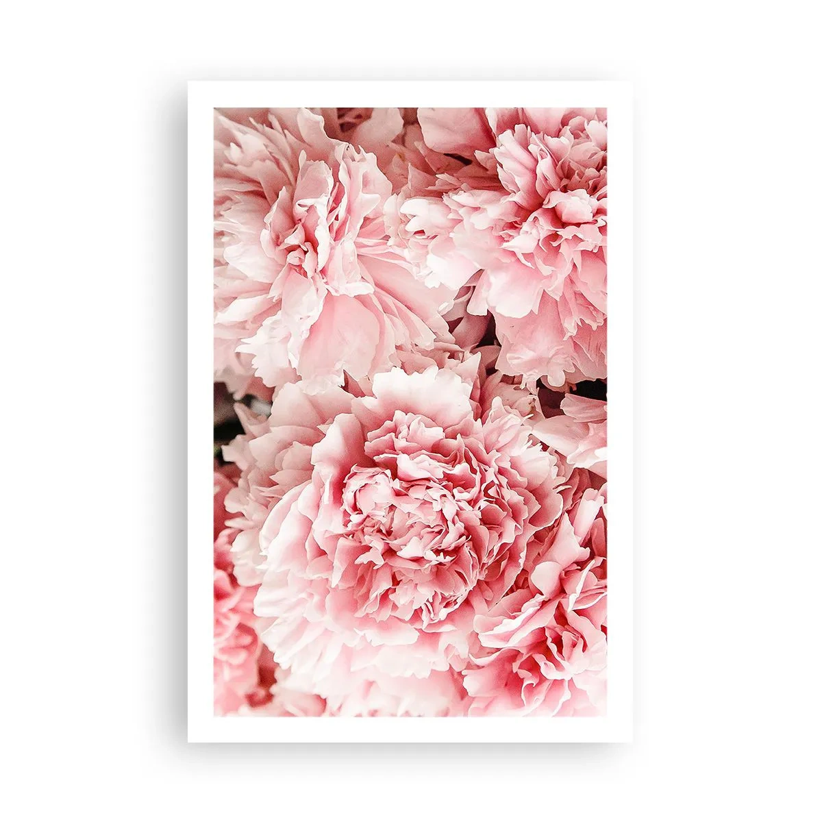 Poster - Sogno rosa - 61x91 cm