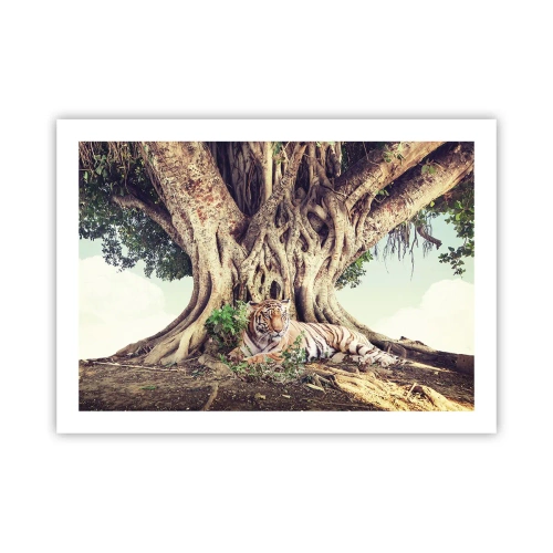 Poster - Vista dal Libro della Genesi - 70x50 cm