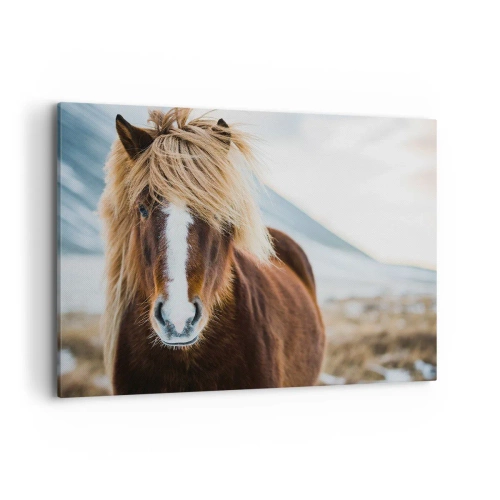 Quadro su tela - Stampe su Tela - Cavallo islandese contro un paesaggio montano - 100x70cm - Senti la libertà? - Decorazione murale moderna per soggiorno e camera da letto ARTTOR