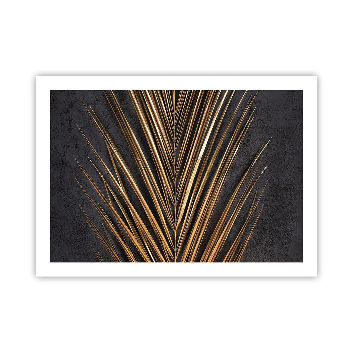 Poster - L'oro dei tropici - 70x50 cm
