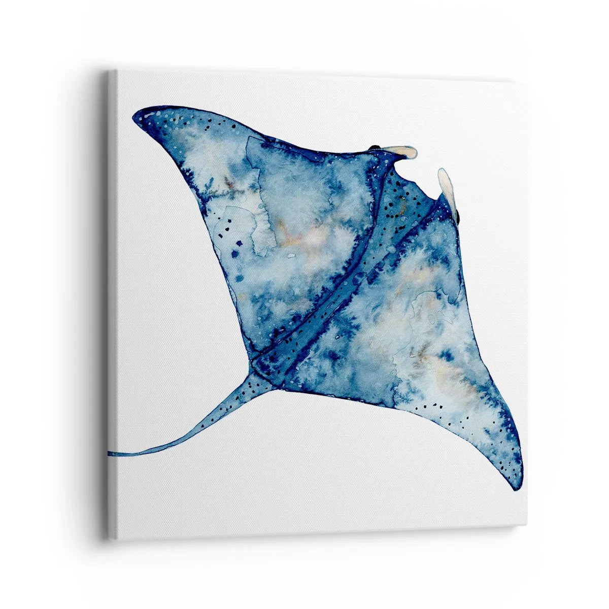 Quadro su tela - Stampe su Tela - Vita nel blu - 30x30 cm
