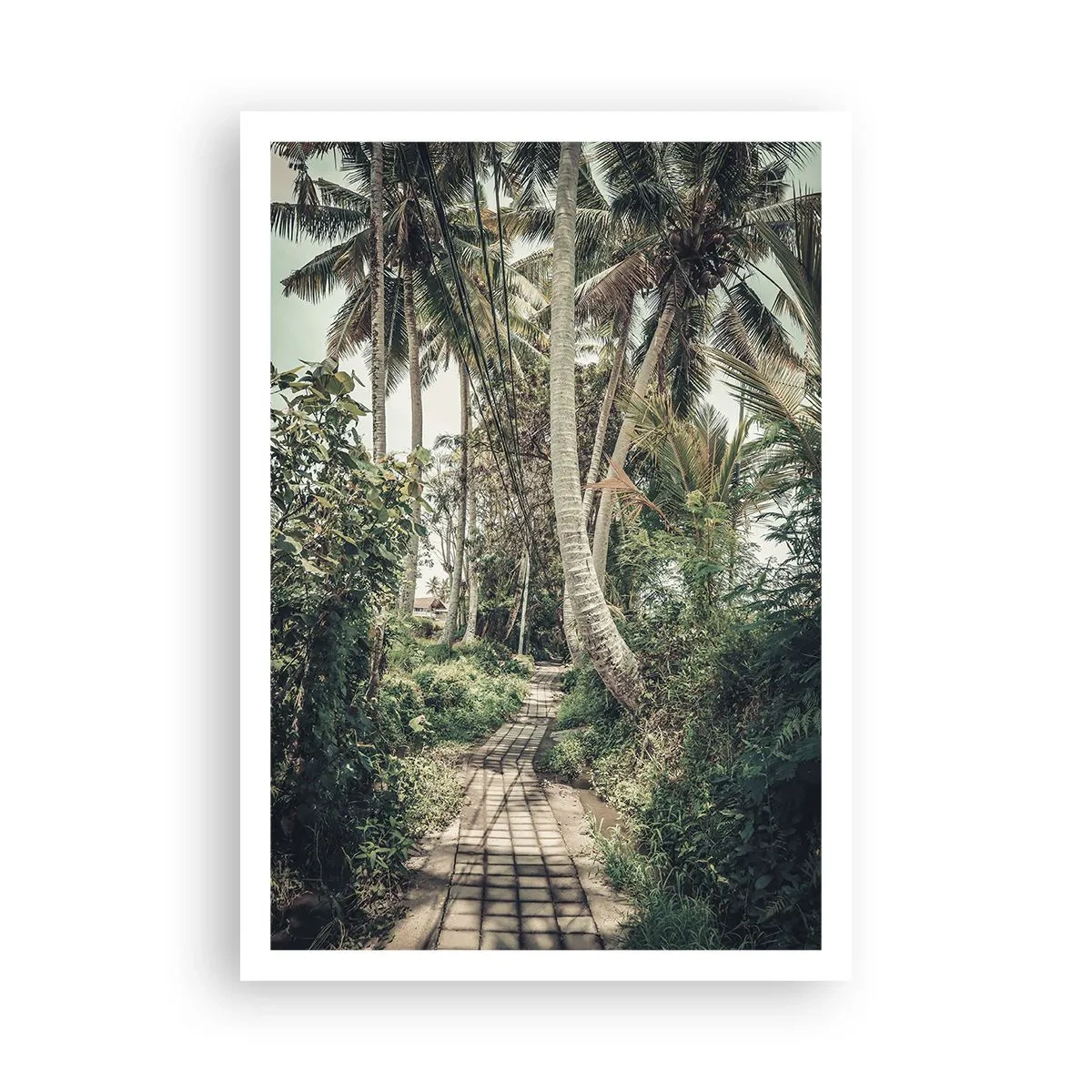 Poster - Il viale delle palme - 70x100 cm