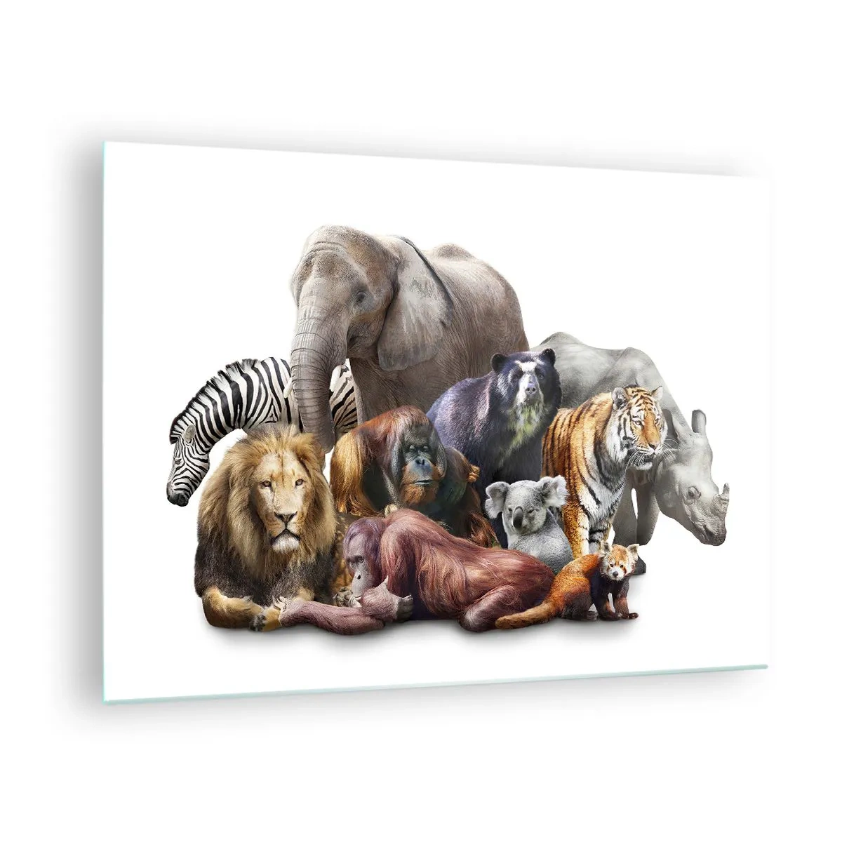 Quadro su vetro - Un gruppo di animali selvatici su uno sfondo bianco in uno scatto artistico - 70x50cm - Foto di famiglia africana - Decorazione murale moderna per soggiorno e camera da letto ARTTOR