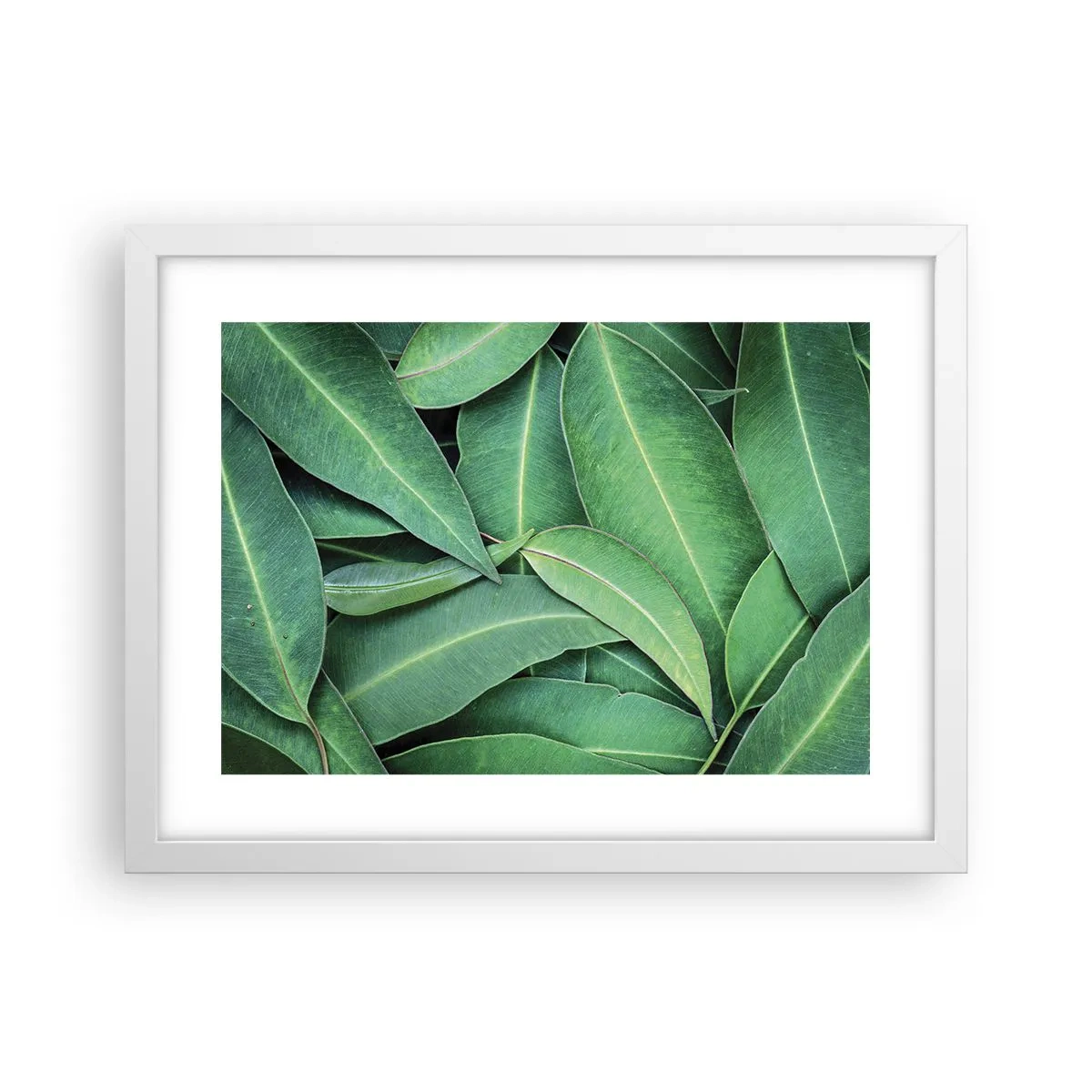 Poster in cornice bianca - Succosi e freschi - 40x30 cm