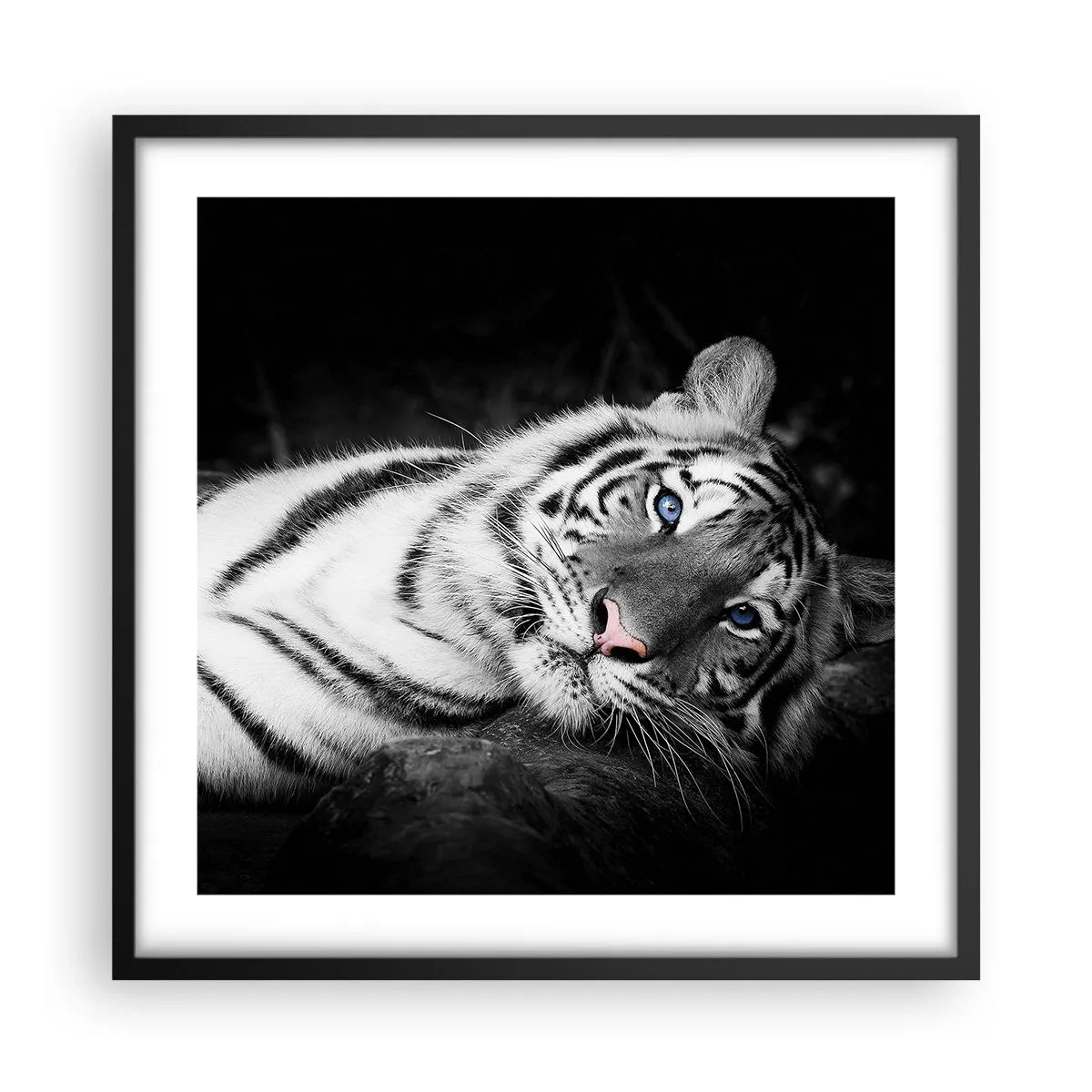 Poster in cornice nera - Selvaggità e pace - 50x50 cm