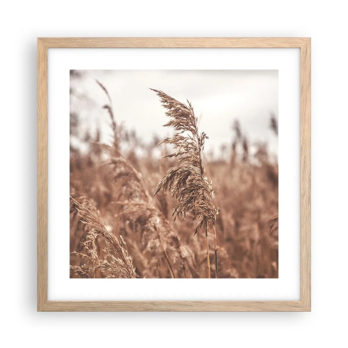 Poster in cornice rovere chiaro - Nei campi è già autunno - 40x40 cm