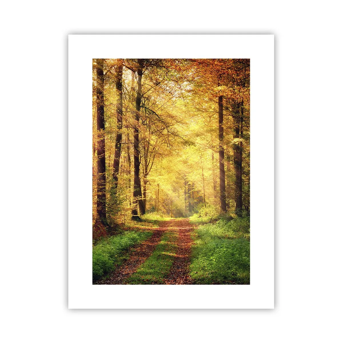Poster - Il silenzio d'oro del bosco - 30x40 cm