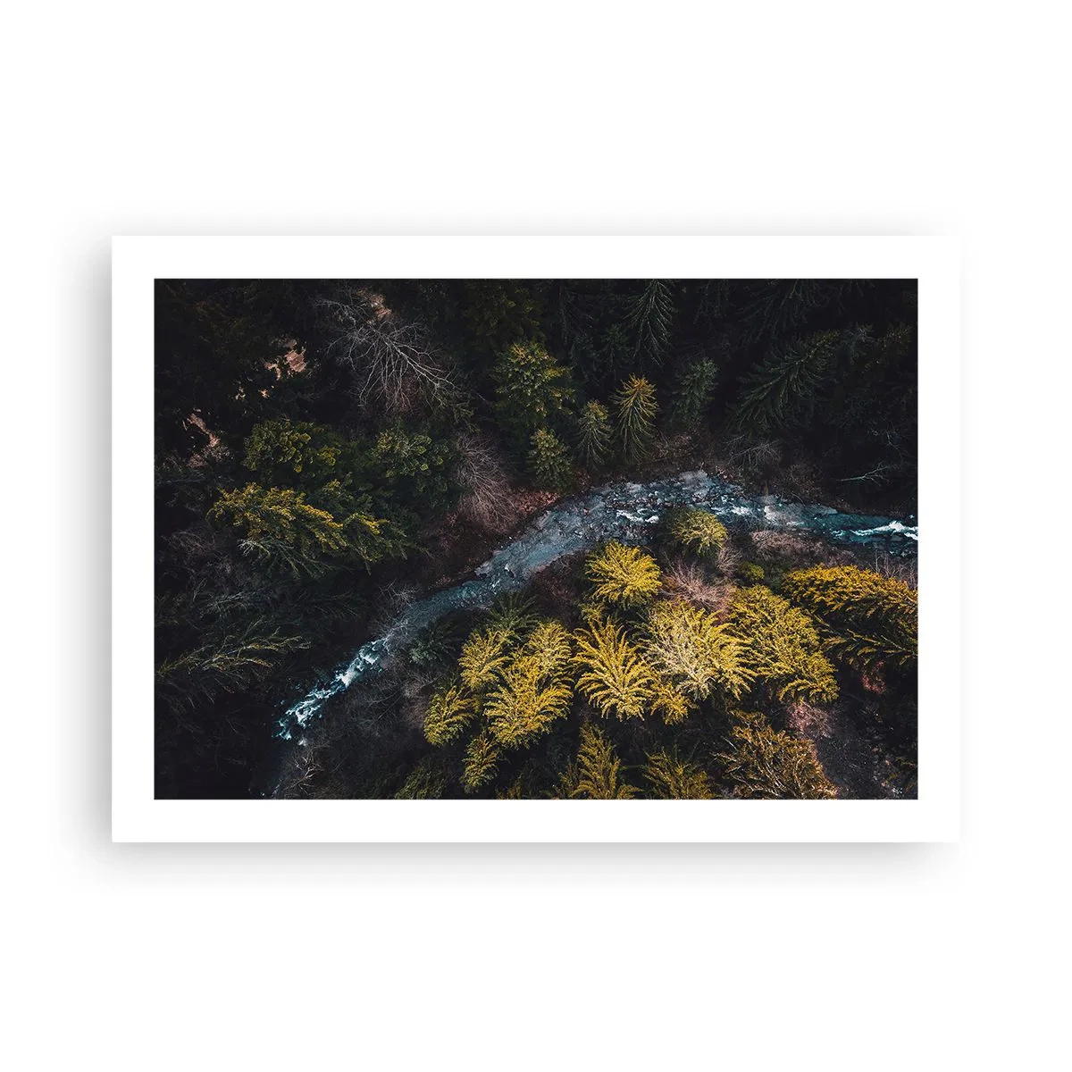 Poster - Sempre più veloce - 70x50 cm