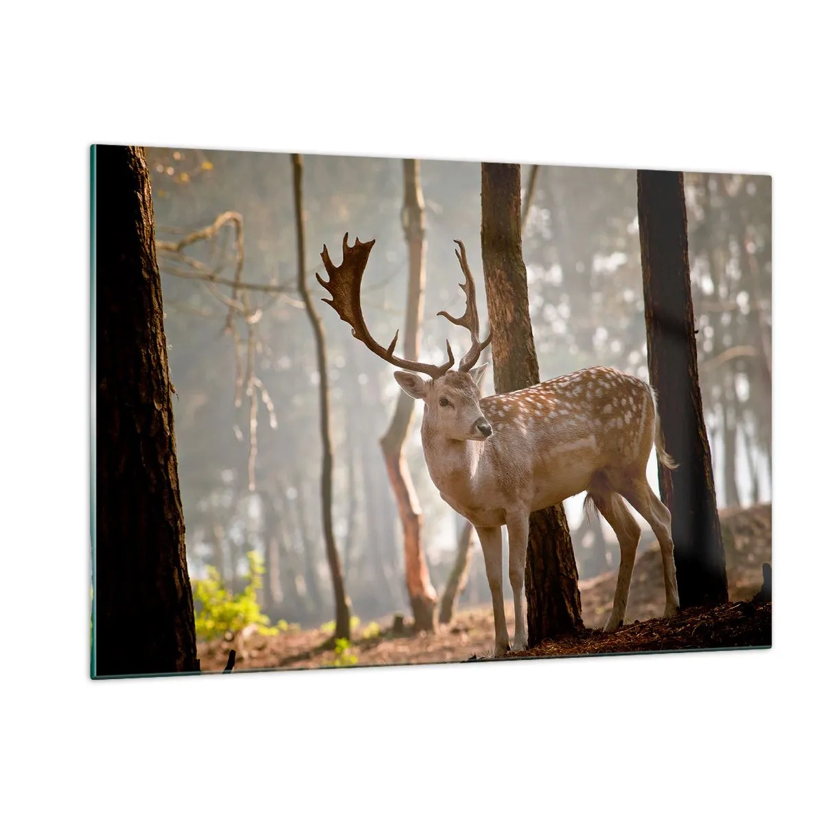 Quadro su vetro - Un cervo nella foresta circondato dalla nebbia mattutina - 120x80cm - La luce della giovinezza - Decorazione murale moderna per soggiorno e camera da letto ARTTOR