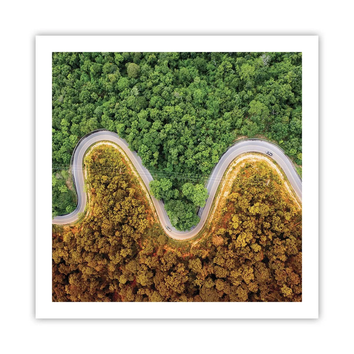 Poster - Confine e separazione - 60x60 cm