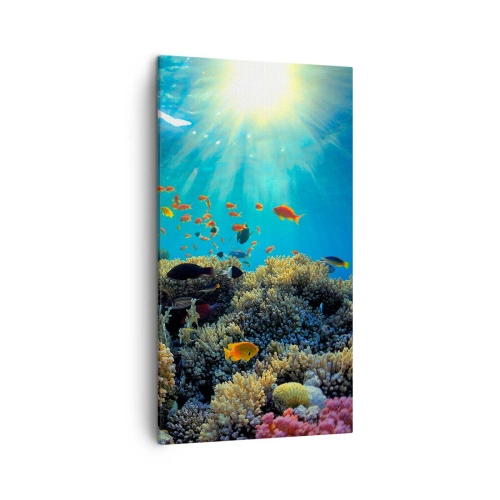 Quadro su tela - Stampe su Tela - Tesori sotto al mare - 45x80 cm