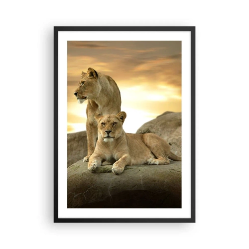 Poster in cornice nera - Due leonesse contro il sole al tramonto - 50x70cm - Maestà reale - Decorazione murale moderna per soggiorno e camera da letto ARTTOR