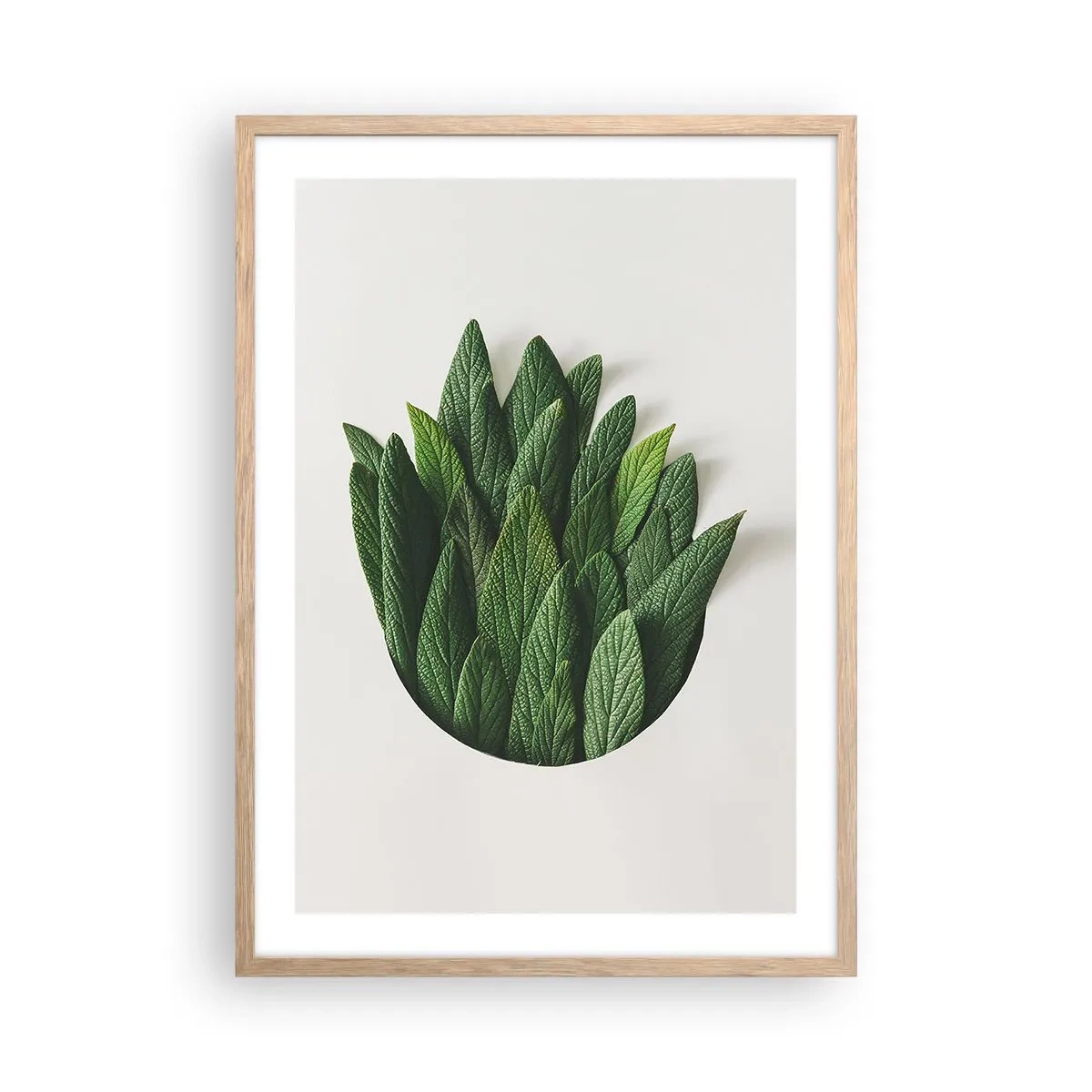 Poster in cornice rovere chiaro - Curiosità irrefrenabile - 50x70 cm