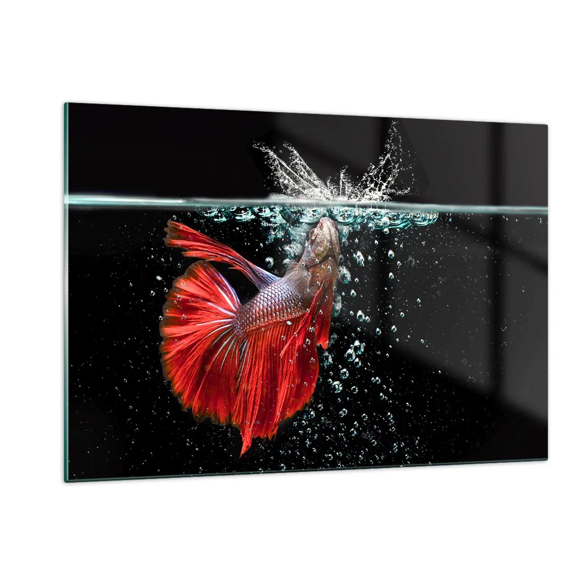 Quadro su vetro - Betta rosso in una composizione d'acqua dinamica - 120x80cm - Hai tre desideri - Decorazione murale moderna per soggiorno e camera da letto ARTTOR