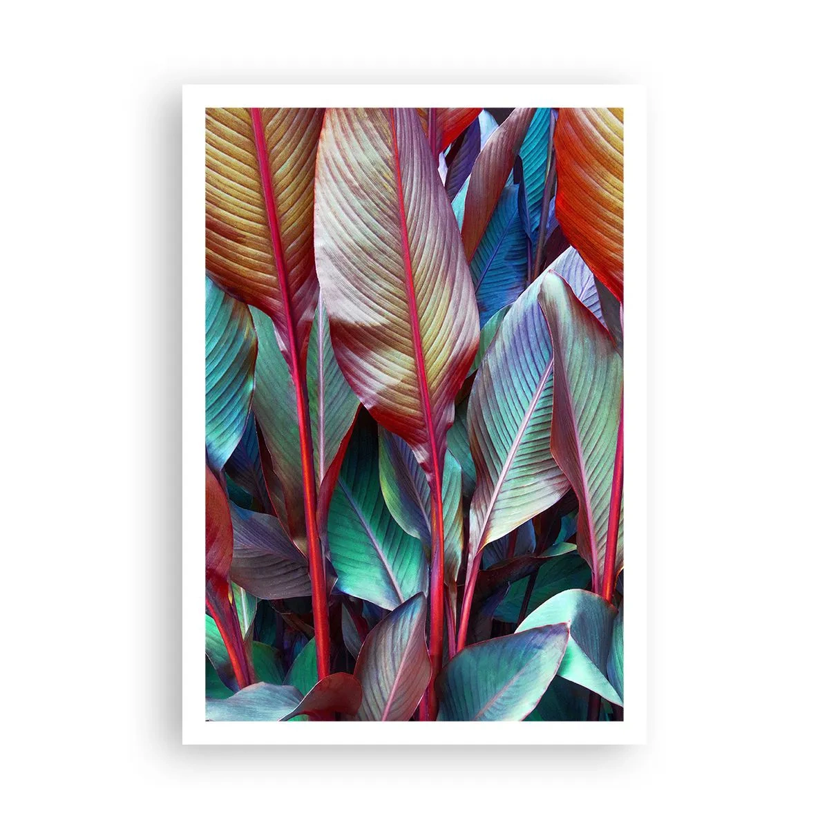 Poster - Selva colorata - 70x100 cm