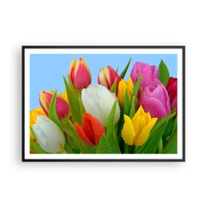 Poster in cornice nera - Tulipani colorati ricoperti di gocce di rugiada su uno sfondo blu - 100x70cm - Fiori multicolori nella rugiada - Decorazione murale moderna per soggiorno e camera da letto ARTTOR