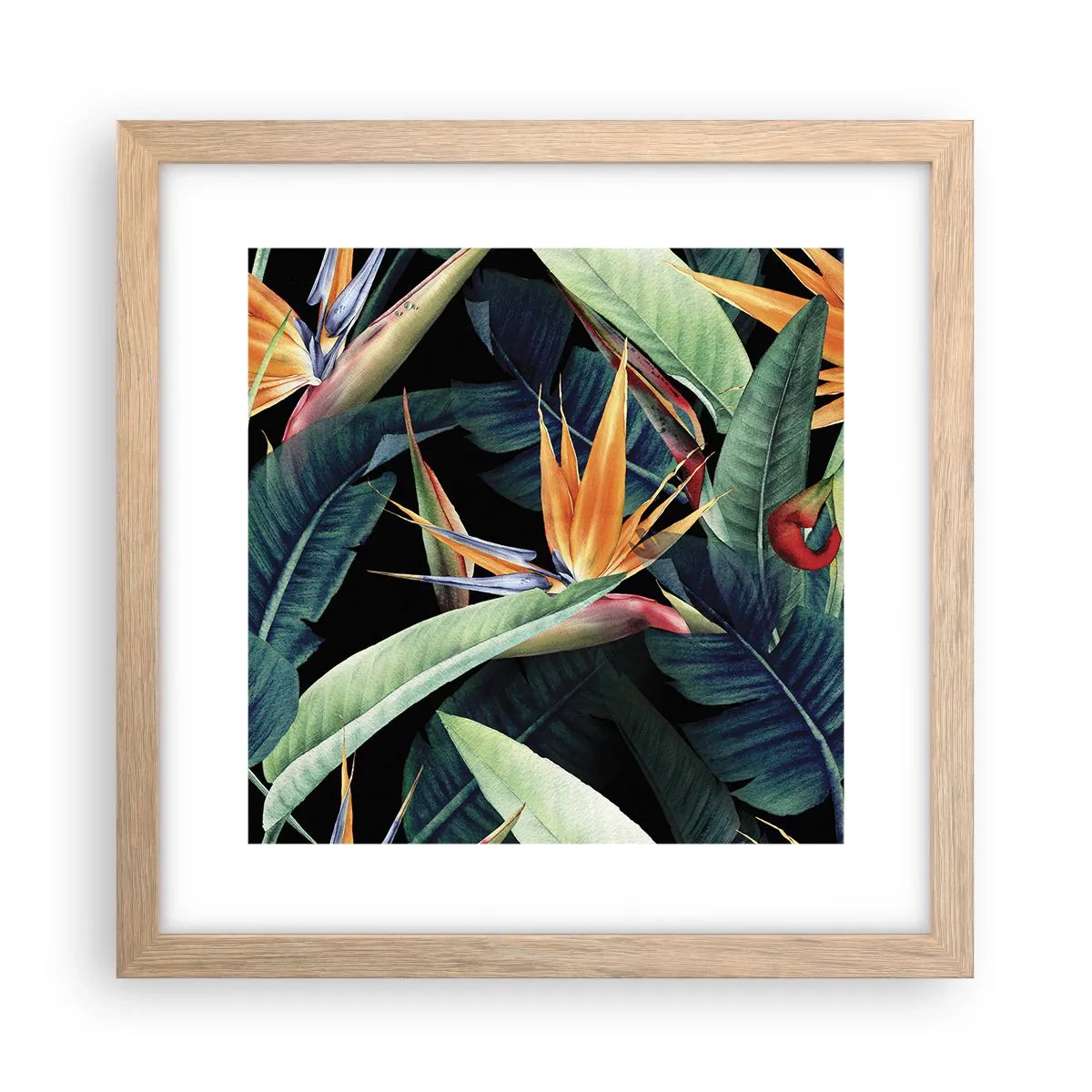 Poster in cornice rovere chiaro - I fiori fiammeggianti dei tropici - 30x30 cm