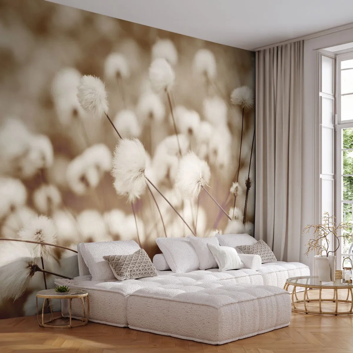 Fotomurali Autoadesivo Deluxe Sticker - Campo di morbidezza - Fiore di cotone, Fiore, Ramoscello di cotone - 250x175 cm