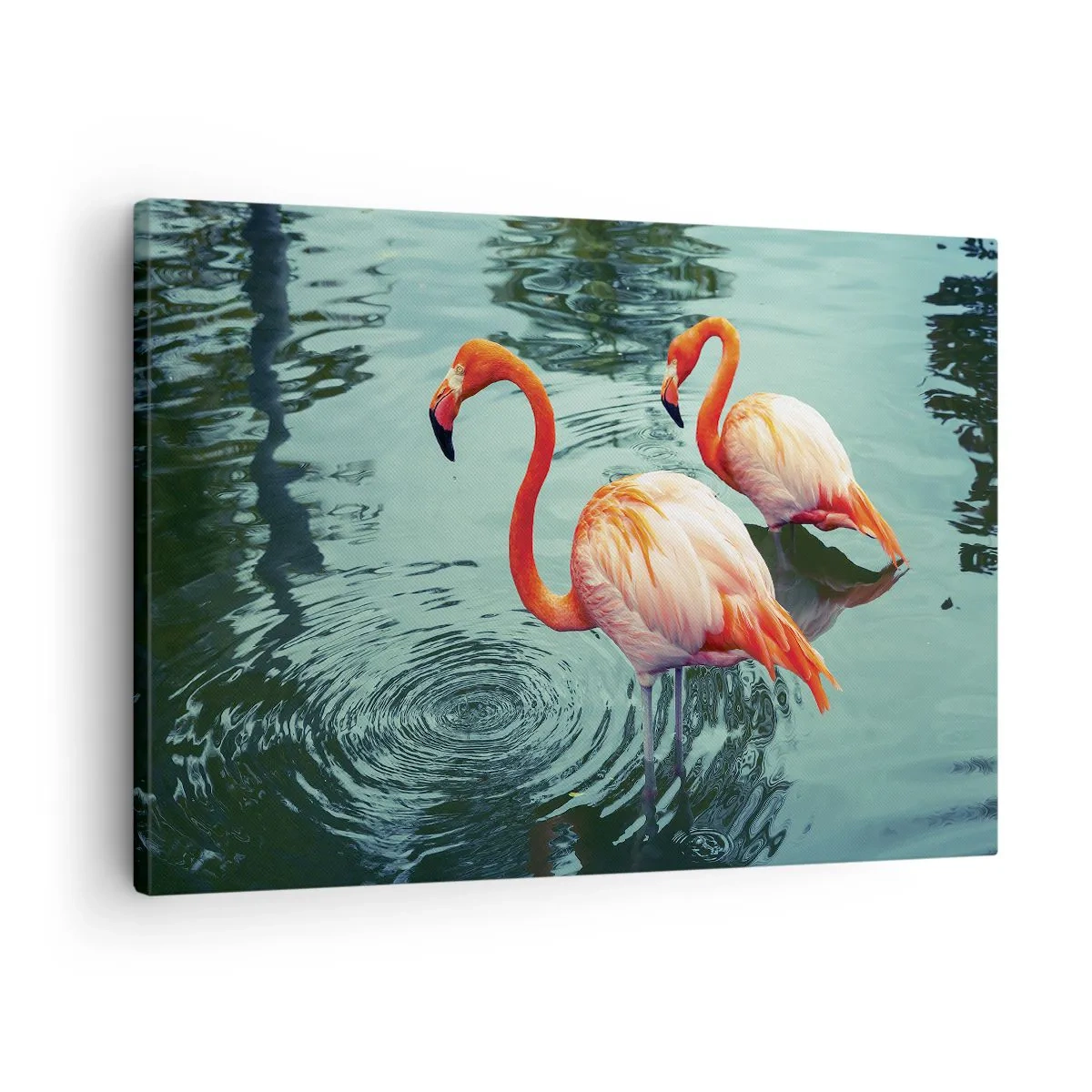Quadro su tela - Stampe su Tela - Due fenicotteri nell'acqua calma riflettono l'ambiente circostante - 70x50cm - Adesso siamo di moda - Decorazione murale moderna per soggiorno e camera da letto ARTTOR
