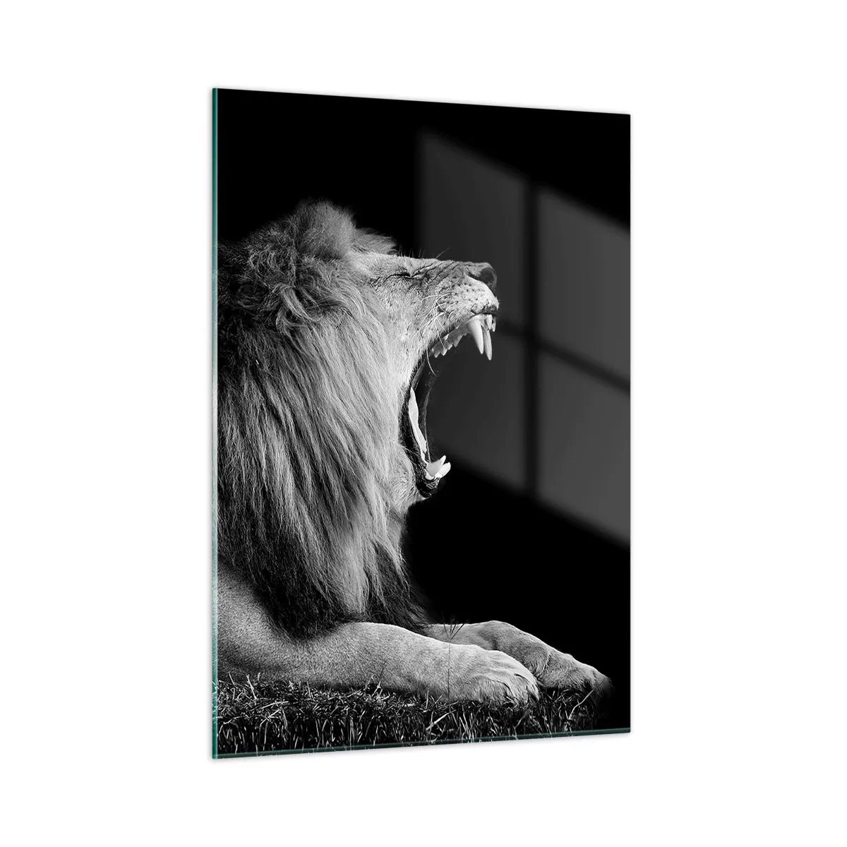 Quadro su vetro - Ritratto in bianco e nero di un leone che ruggisce contro un'ombra - 50x70cm - Senza alcun dubbio - Decorazione murale moderna per soggiorno e camera da letto ARTTOR