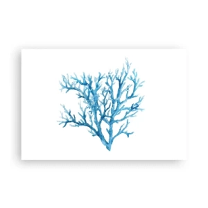Poster - Filigrana marina - 91x61 cm