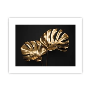 Poster - I tesori della natura - 40x30 cm