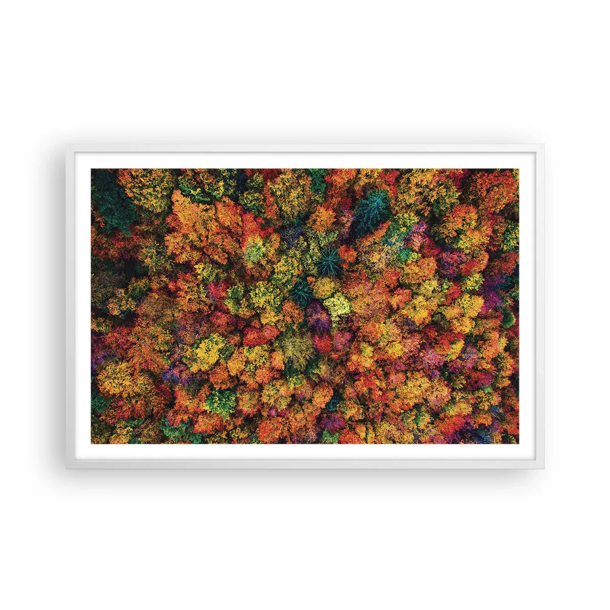 Poster in cornice bianca - Il bouquet degli alberi d'autunno - 91x61 cm
