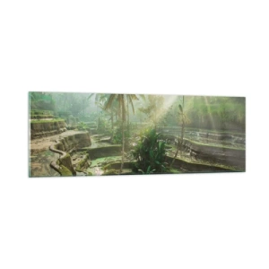 Quadro su vetro - Crescere al sole - 90x30 cm