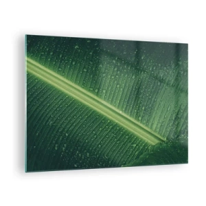 Quadro su vetro - Primo piano di una foglia verde con gocce d'acqua - 70x50cm - La struttura del verde - Decorazione murale moderna per soggiorno e camera da letto ARTTOR