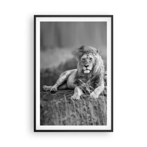 Poster in cornice nera - La siesta del re - 61x91 cm