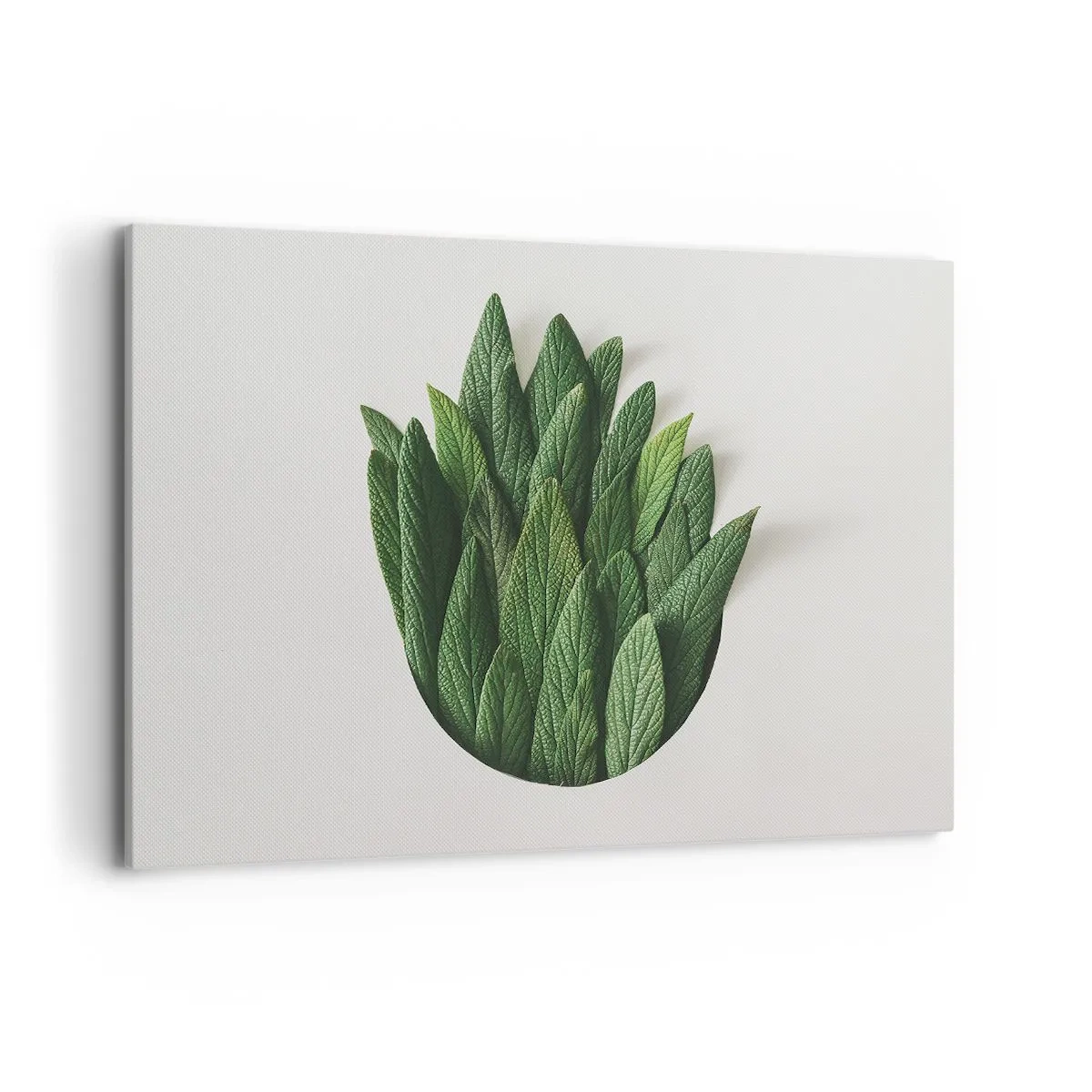 Quadro su tela - Stampe su Tela - Una composizione di foglie verdi su uno sfondo chiaro - 120x80cm - Curiosità irrefrenabile - Decorazione murale moderna per soggiorno e camera da letto ARTTOR